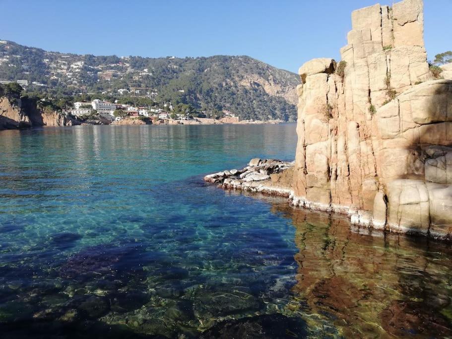"Le Balcon De La Mer" Residence "Icaros"-Wifi-Piscine-Parking Begur Extérieur photo